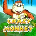 Crazy Monkey
