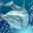 Dolphin's Pearl