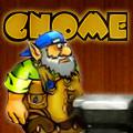 Gnome
