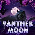 Panther Moon