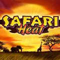 Safari Heat