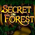 Secret Forest